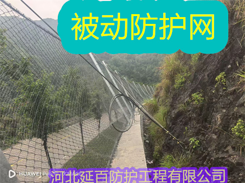 文章插图