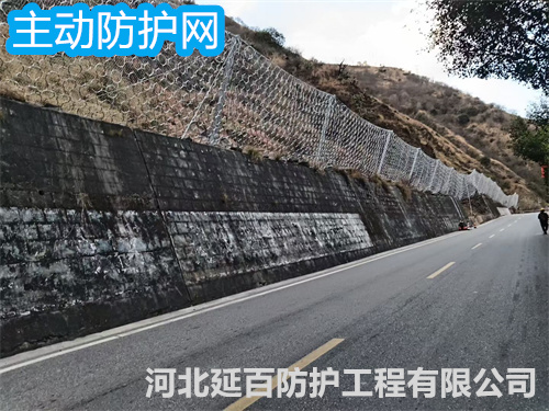 文章插图
