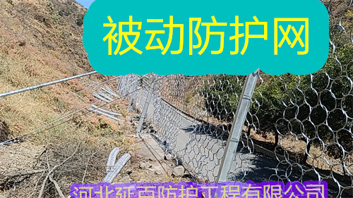 文章插图