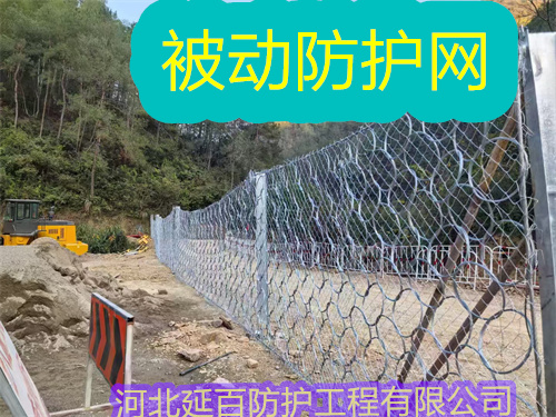 文章插图