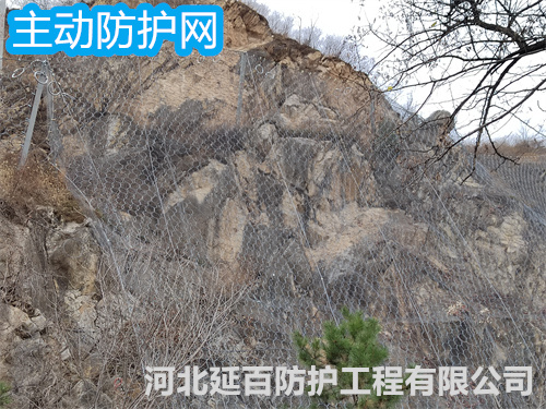 文章插图