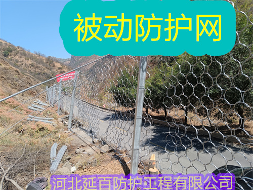文章插图