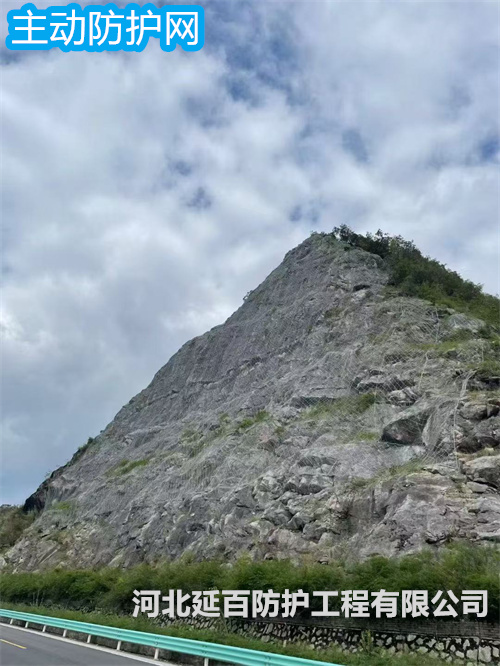 文章插图