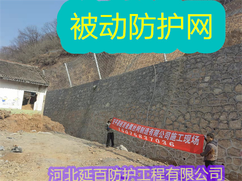 文章插图