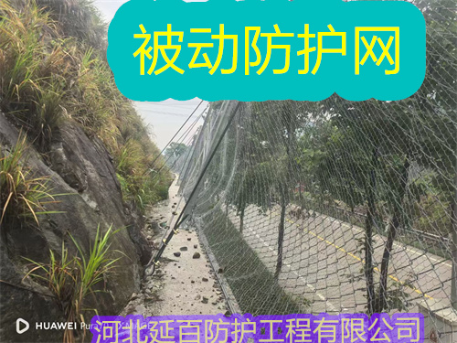 文章插图