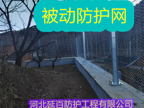 文章插图