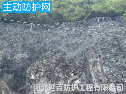 文章插图