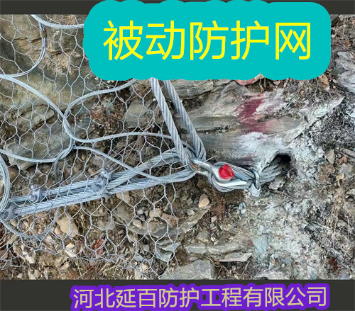 文章插图